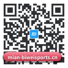系统版 iOS 二维码